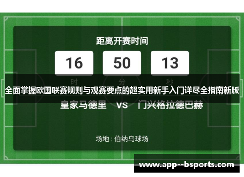 全面掌握欧国联赛规则与观赛要点的超实用新手入门详尽全指南新版